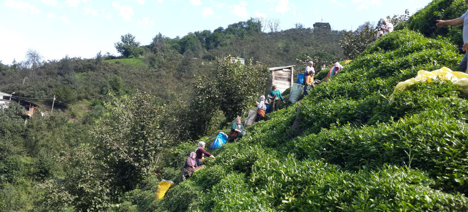 Köyümüzden Güzel Manzaralar